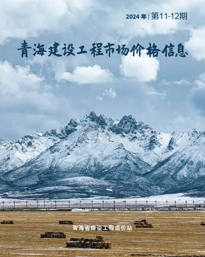 2024年12月建材市场造价信息PDF期刊