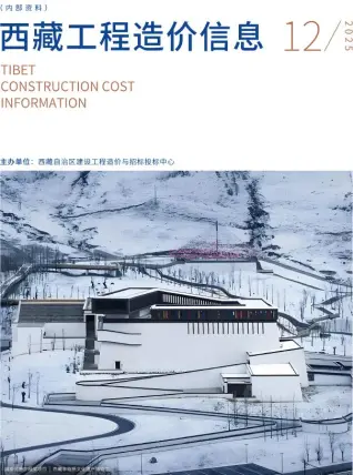 2025年西藏造价信息