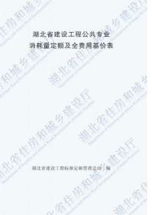 2018湖北建设工程公共专业定额电子版