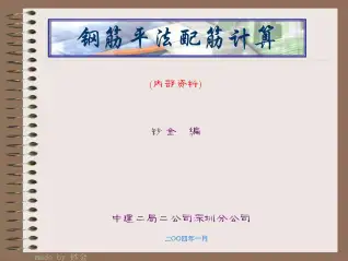 钢筋平法配筋计算图解电子版